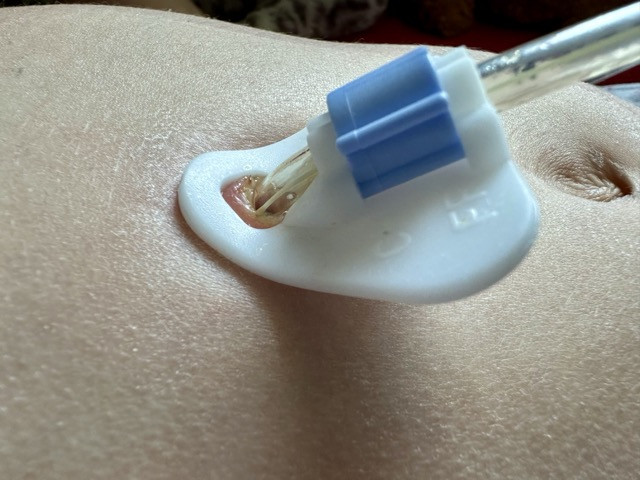 Bild ohne Beschreibung