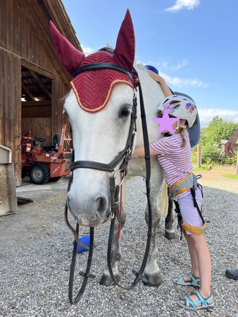 Bild ohne Beschreibung